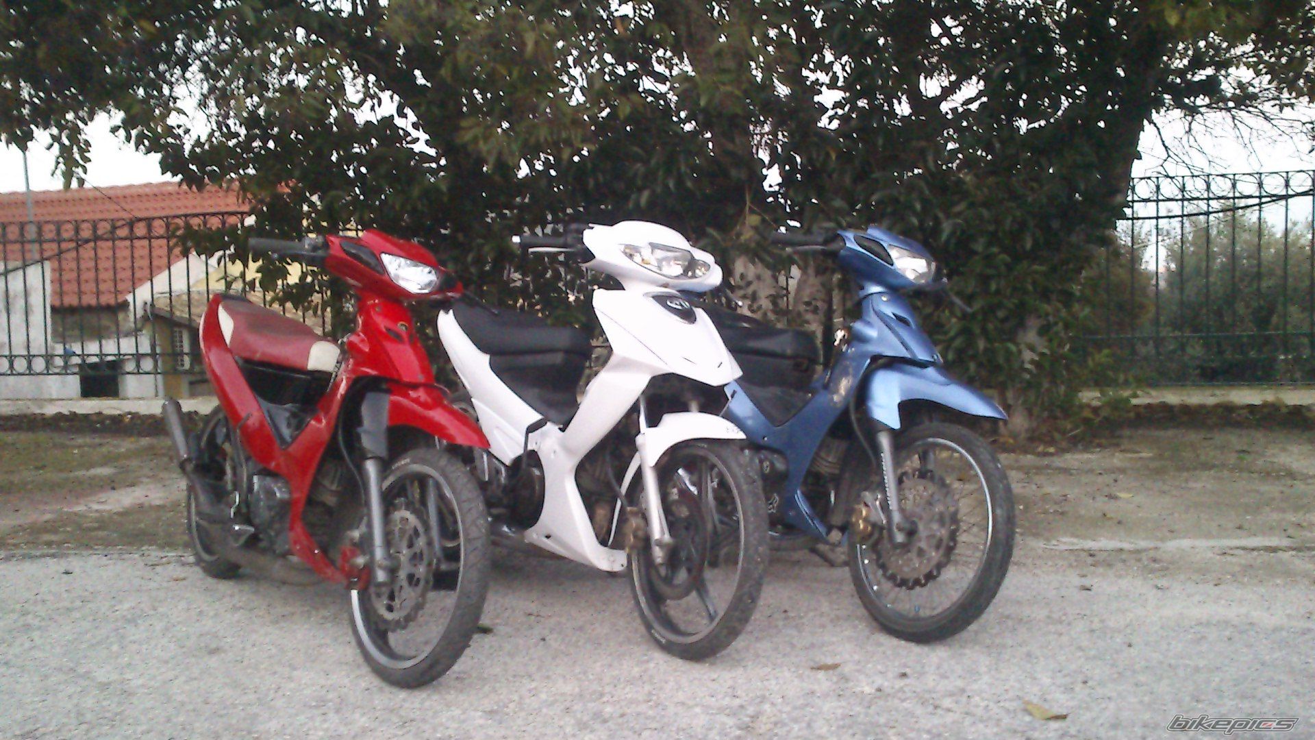 2012 YAMAHA 125 Z | Picture 2494426 motorcycle photo