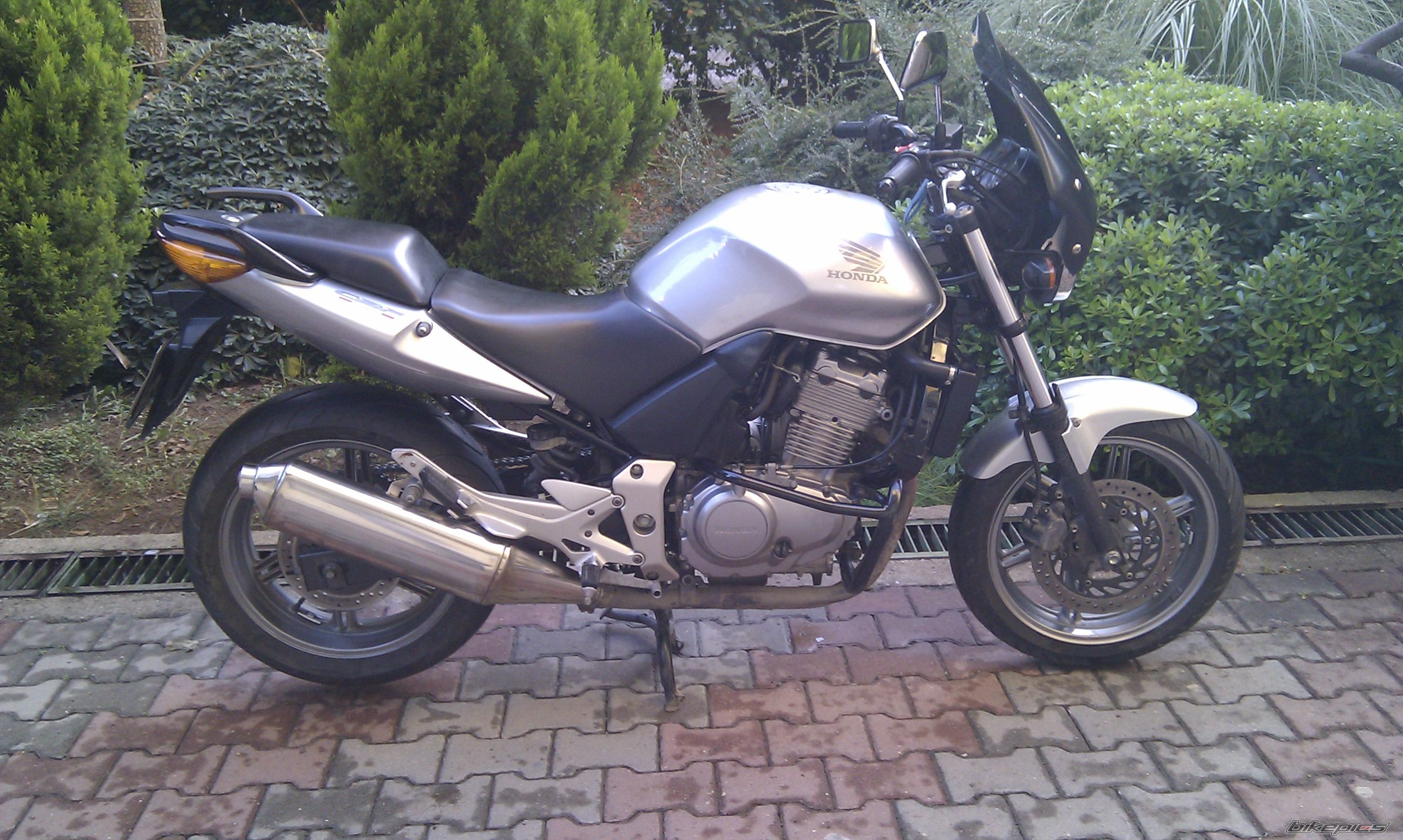 2006 HONDA CBF 500 | Picture 2494778 motorcycle photo