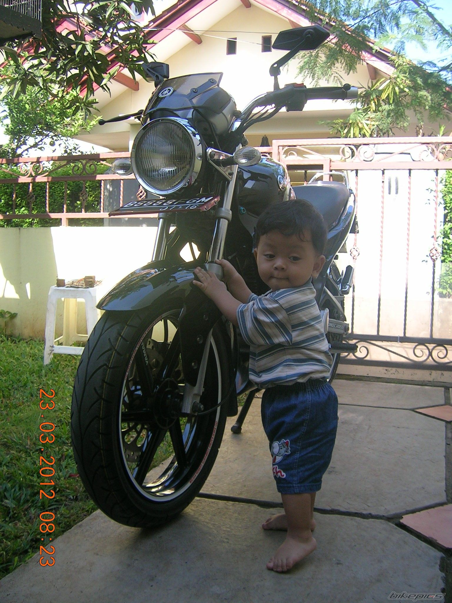 2013 YAMAHA FZ 16 | Picture 2495120 motorcycle photo
