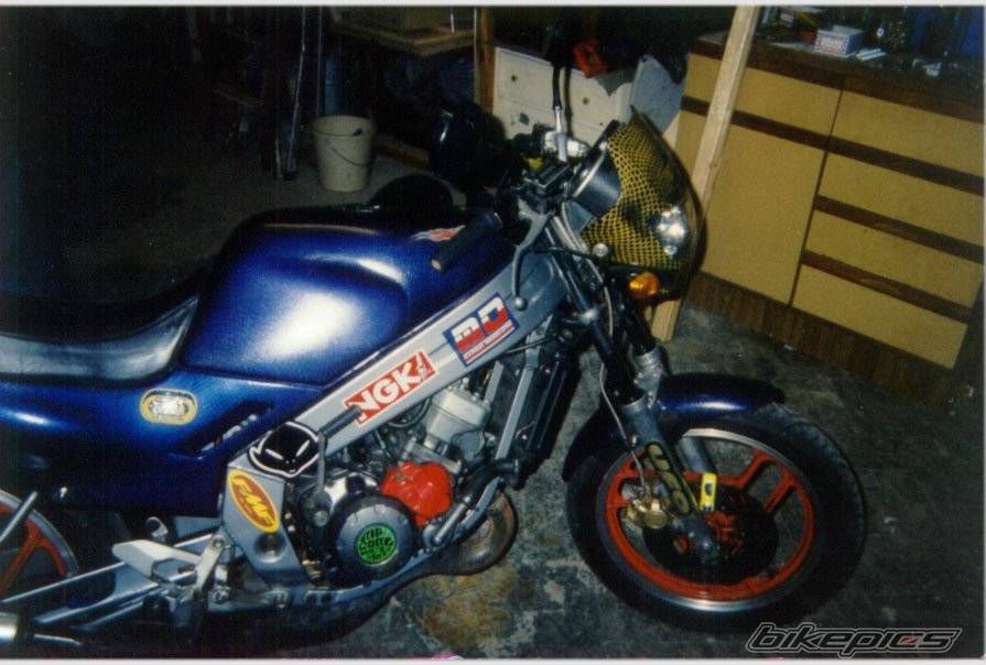 1987 YAMAHA TZR 125 | Picture 249522 motorcycle photo