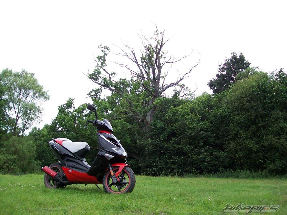    | Picture 2496857 motorcycle photo