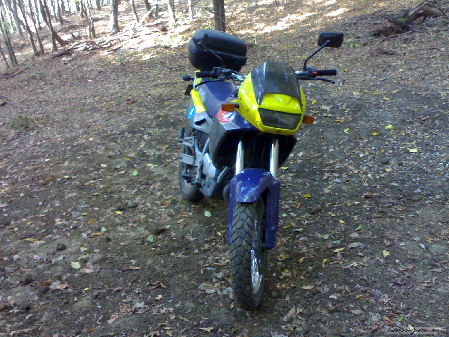 1996 APRILIA PEGASO 125 | Picture 2497191 motorcycle photo