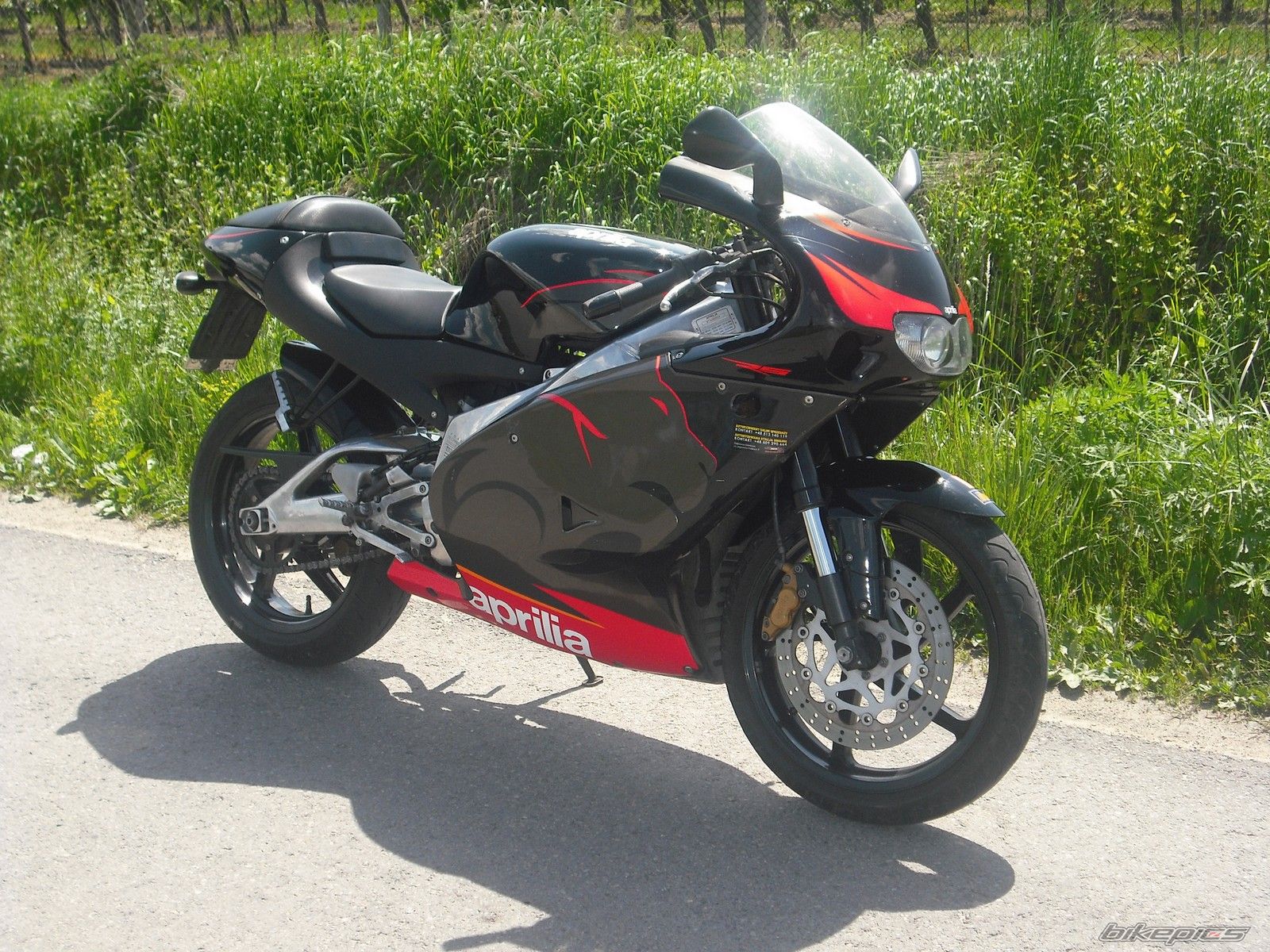 2005 APRILIA RS 125 | Picture 2498027 motorcycle photo