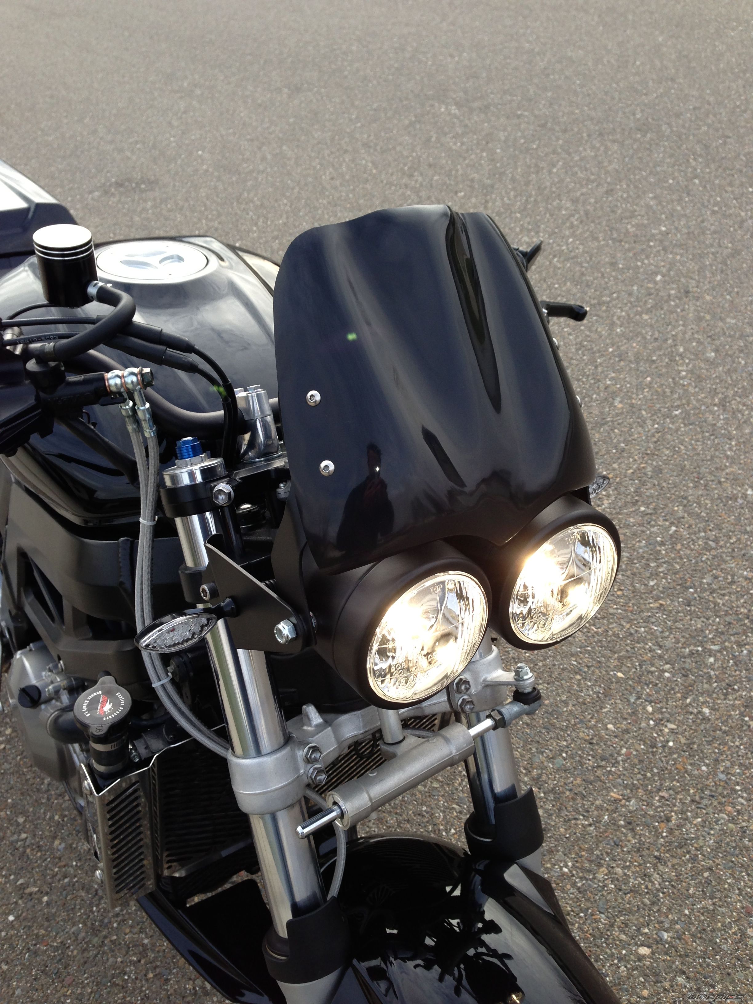 2005 SUZUKI SV 1000 | Picture 2498274 motorcycle photo