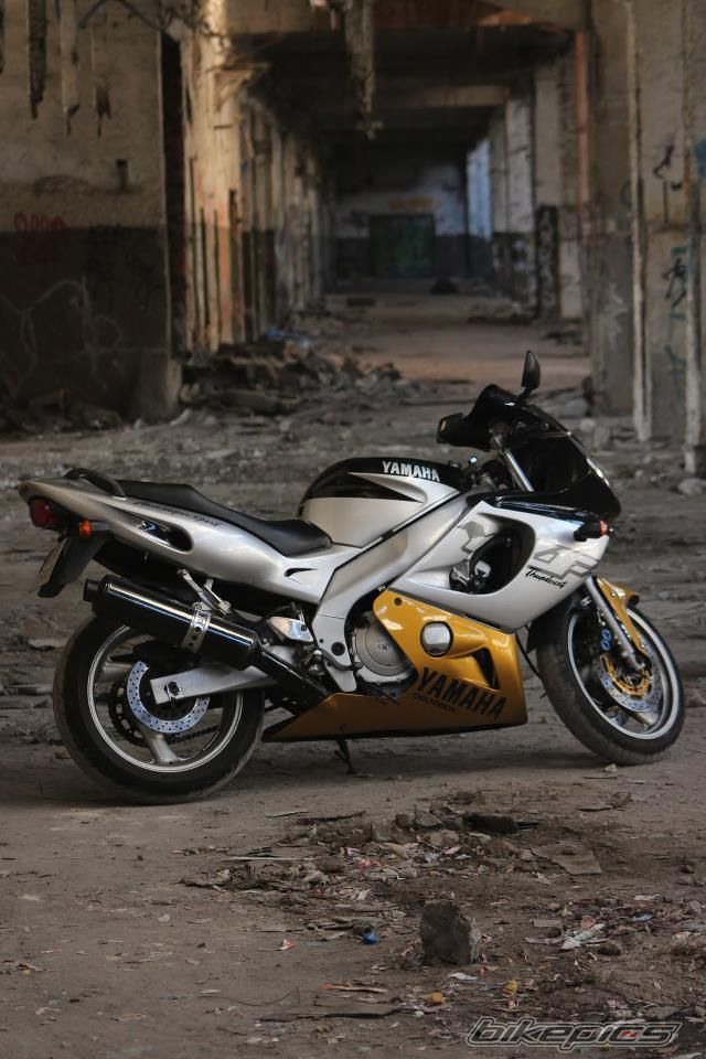 2000 YAMAHA THUNDERCAT | Picture 2499800 motorcycle photo