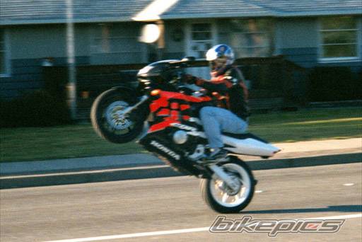 1997 HONDA CBR 600 | Picture 250 motorcycle photo