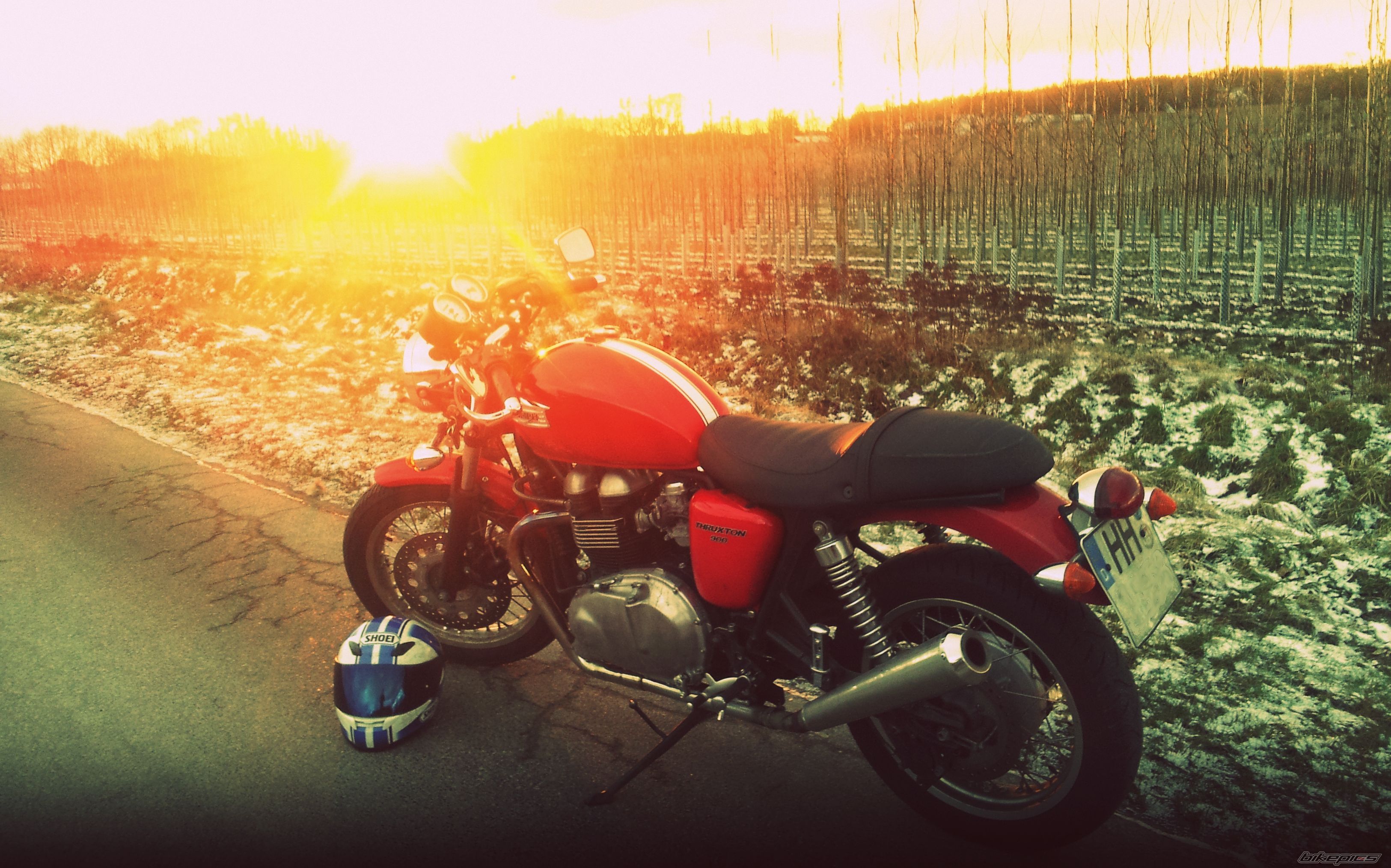 2010 TRIUMPH THRUXTON 900 | Picture 2501061 motorcycle photo
