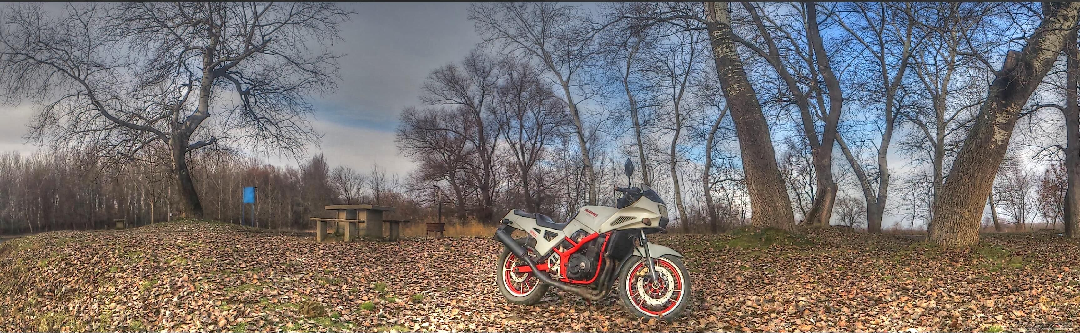 1986 SUZUKI GSX 400 X | Picture 2501643 motorcycle photo