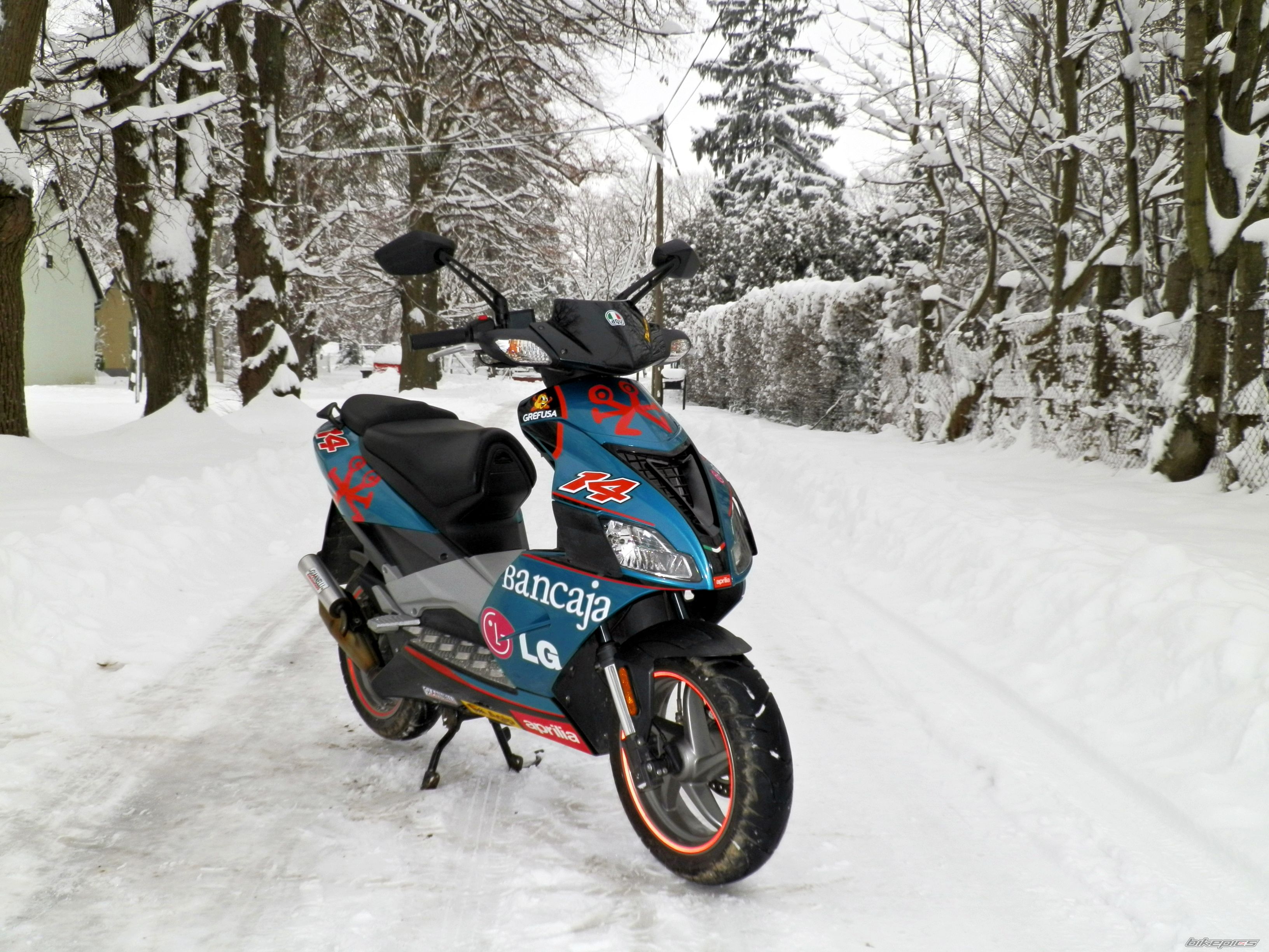 2008 APRILIA SR 50 | Picture 2501887 motorcycle photo