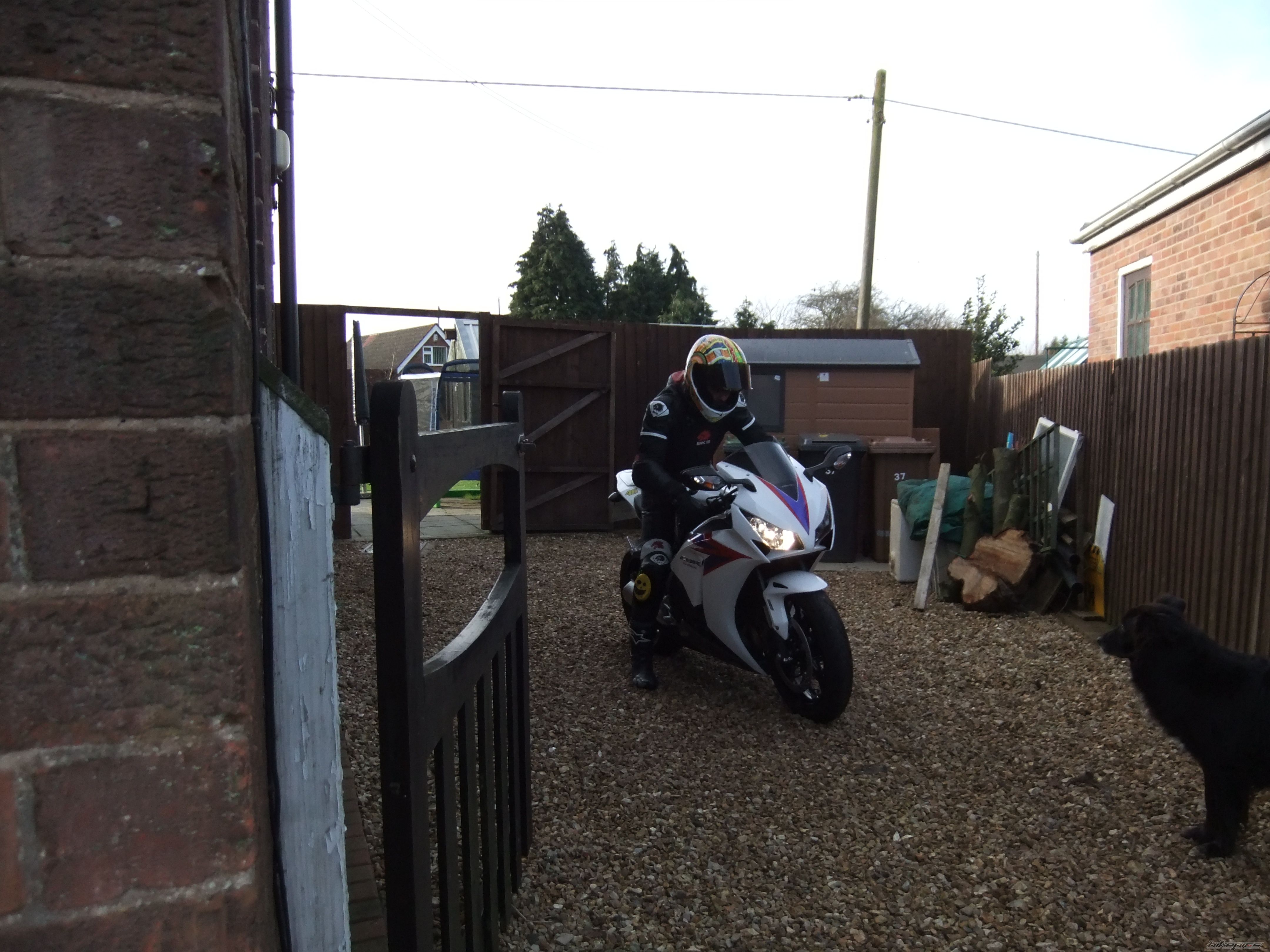 2013 HONDA CBR 1000  RR | Picture 2501954 motorcycle photo