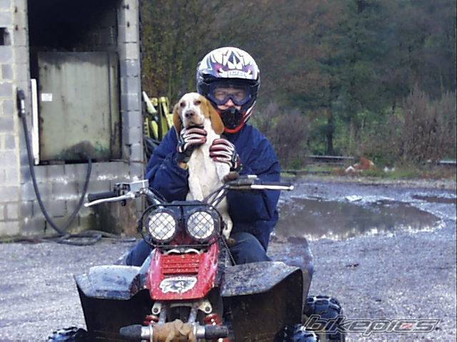 2004 YAMAHA WARRIOR | Picture 250234 motorcycle photo