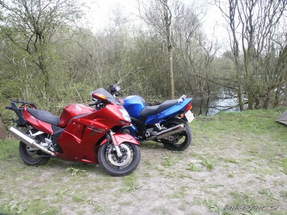 1999 HONDA CBR 1100 BLACKBIRD | Picture 2502492 motorcycle photo