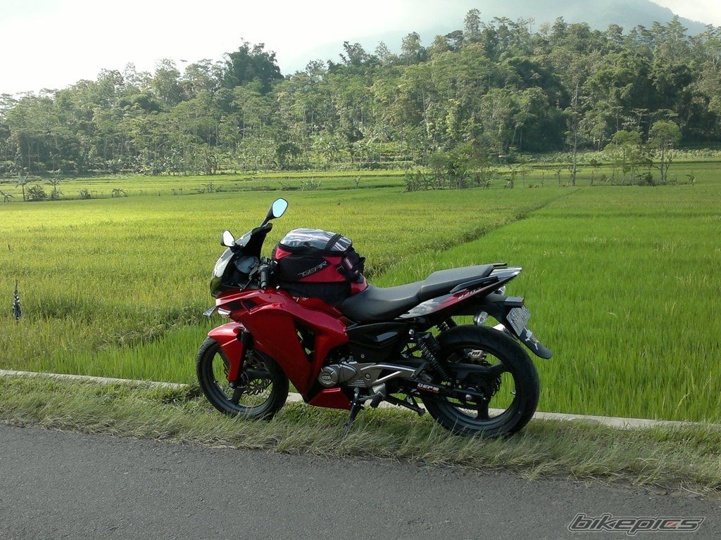 2011 BAJAJ PULSAR 220F | Picture 2502654 motorcycle photo