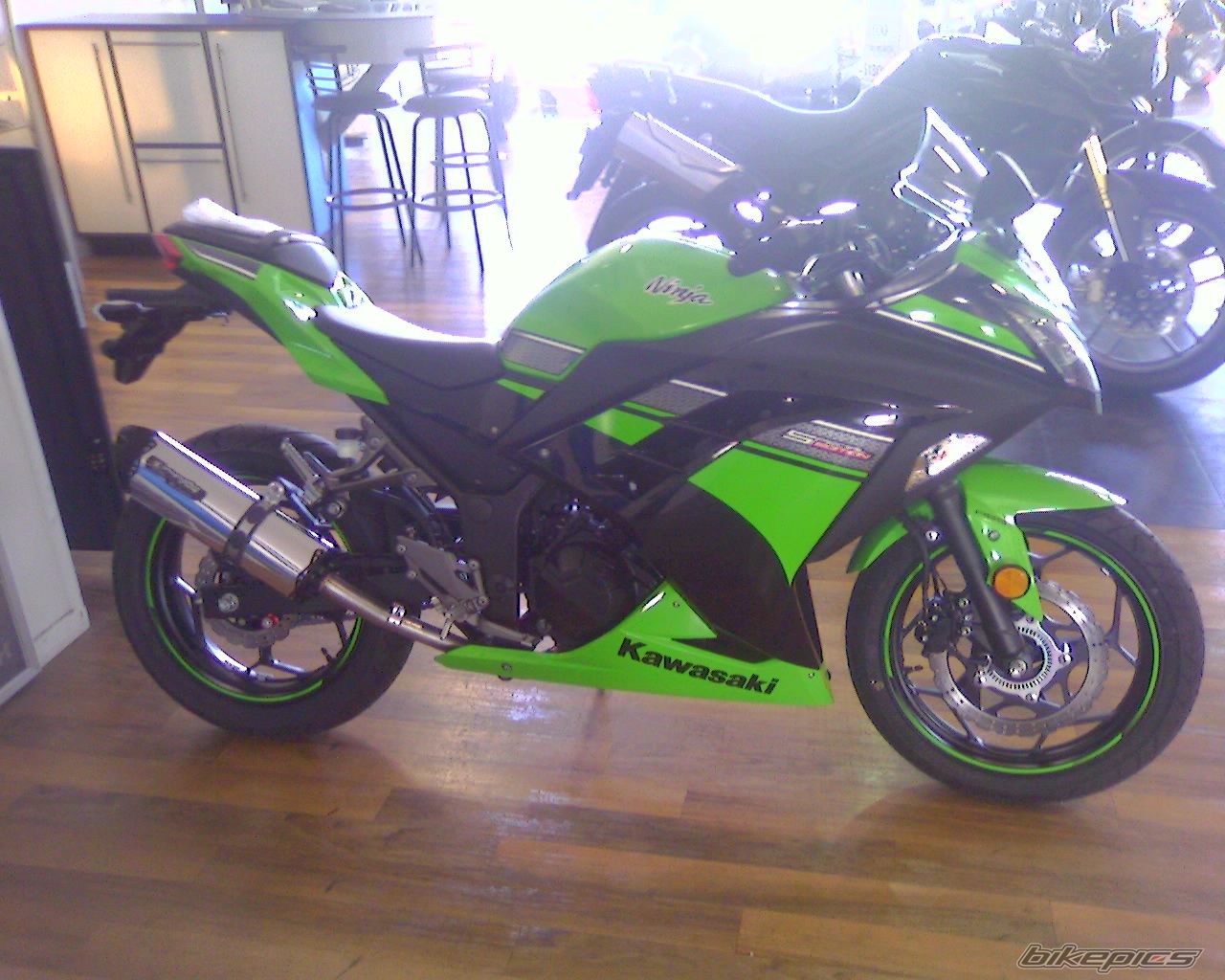 2013 KAWASAKI NINJA 300 | Picture 2503509 motorcycle photo