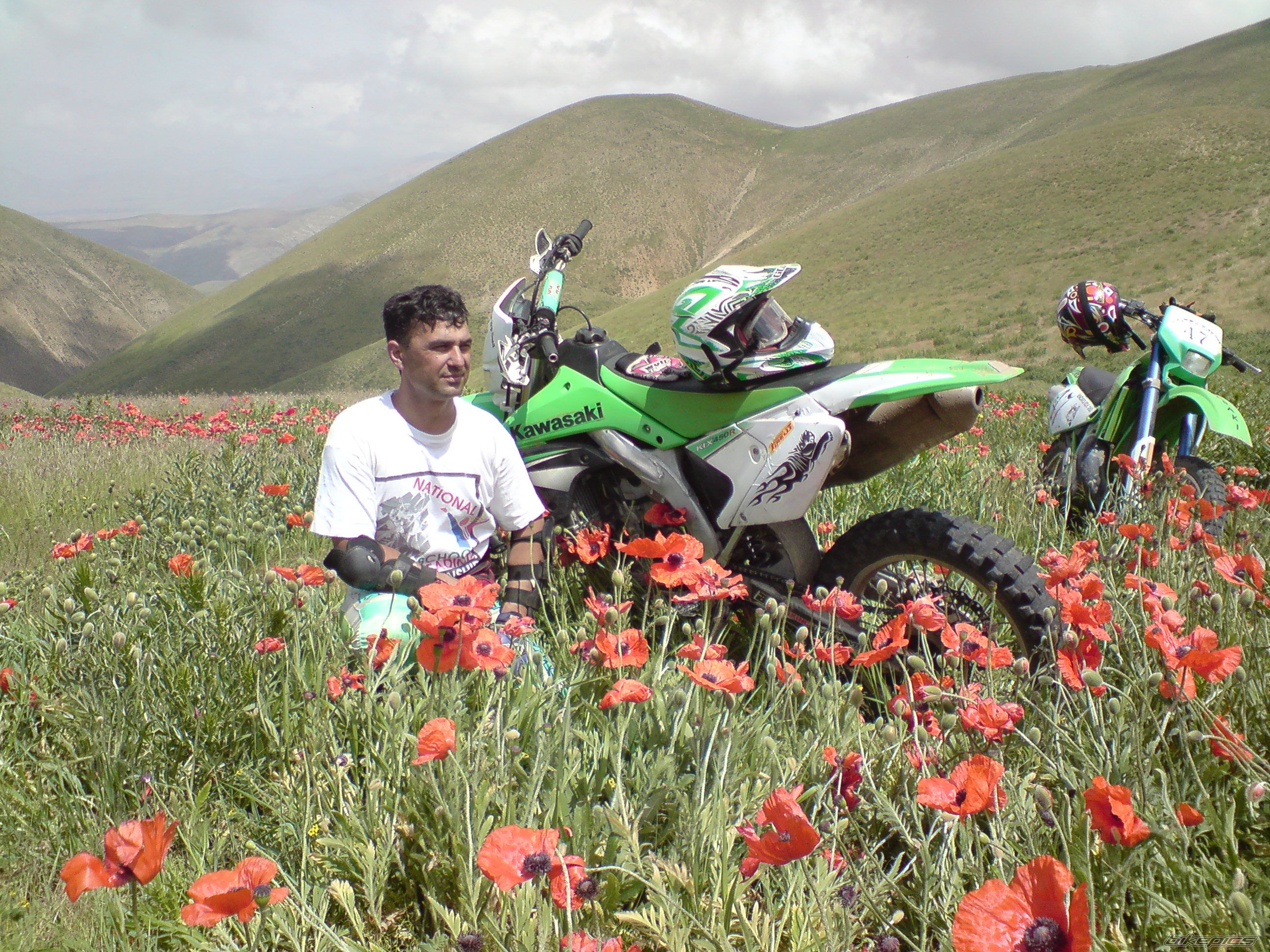 2013 KAWASAKI KFX450R | Picture 2503560 motorcycle photo