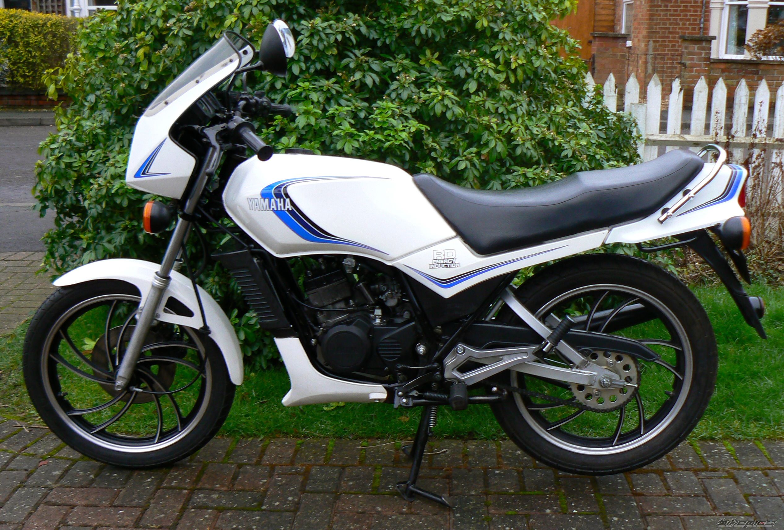 1982 YAMAHA RD 125 | Picture 2503936 motorcycle photo