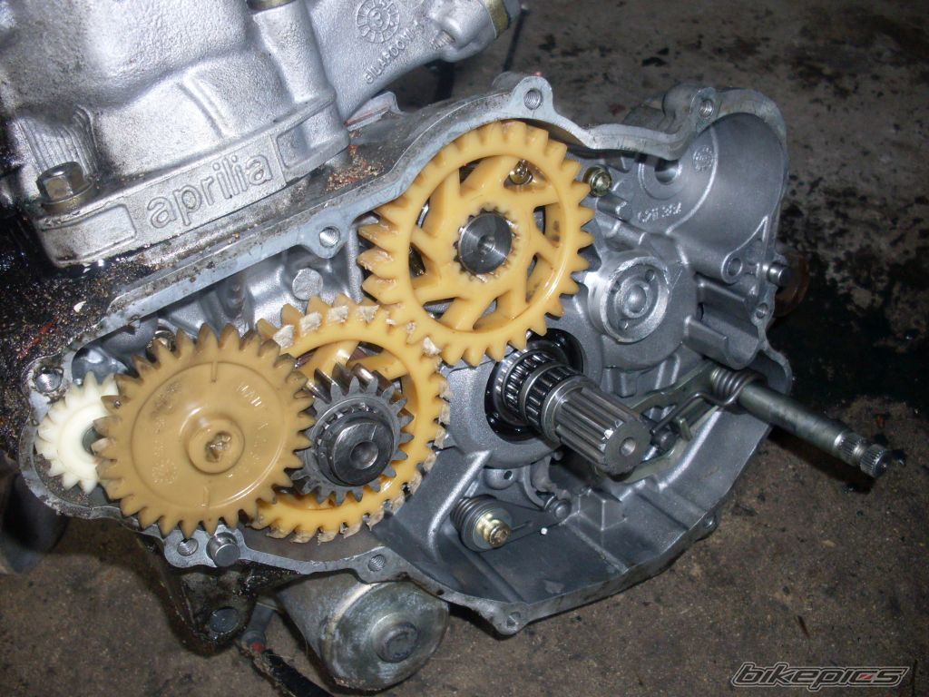    | Picture 2505279 motorcycle photo