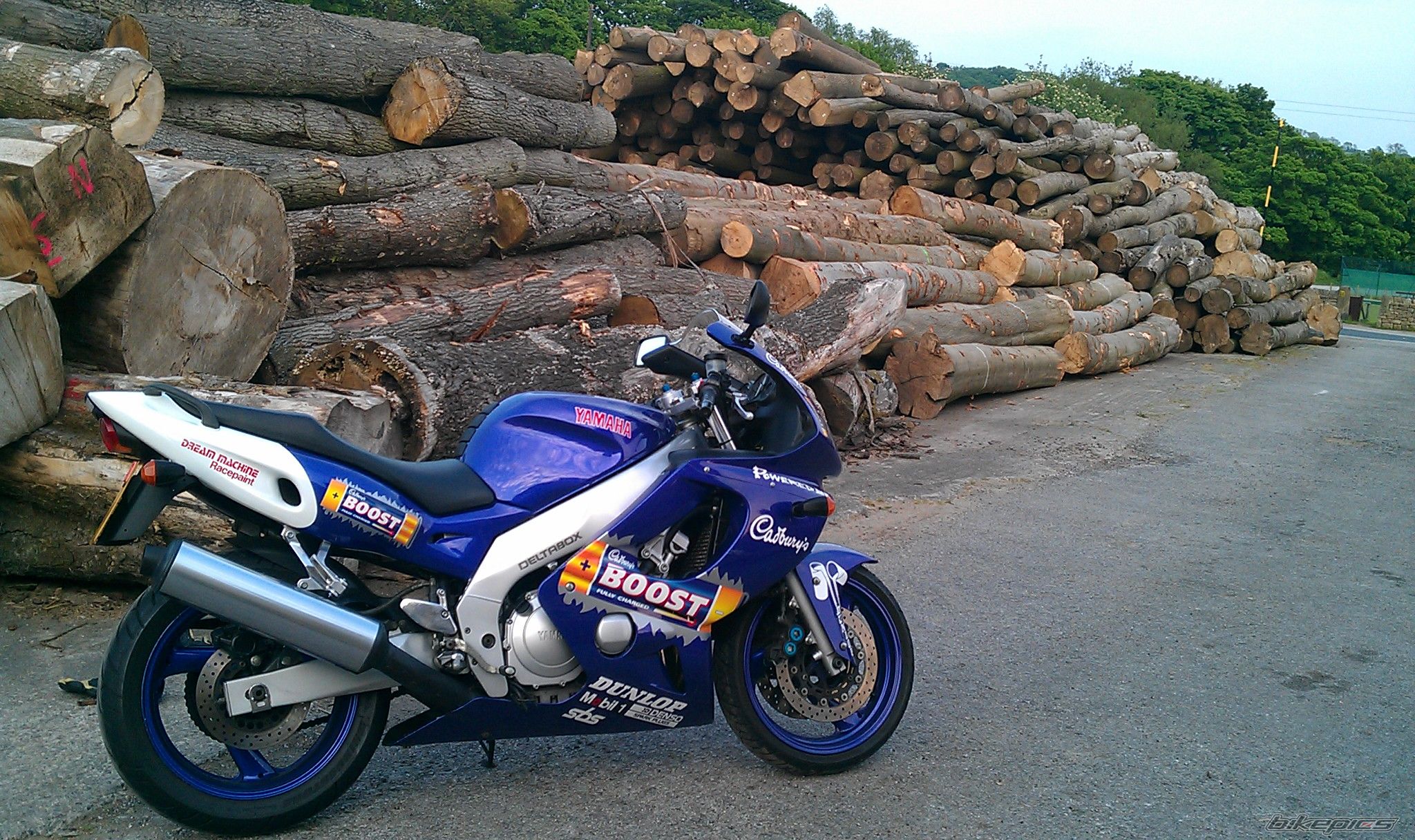 1996 YAMAHA THUNDERCAT | Picture 2505899 motorcycle photo