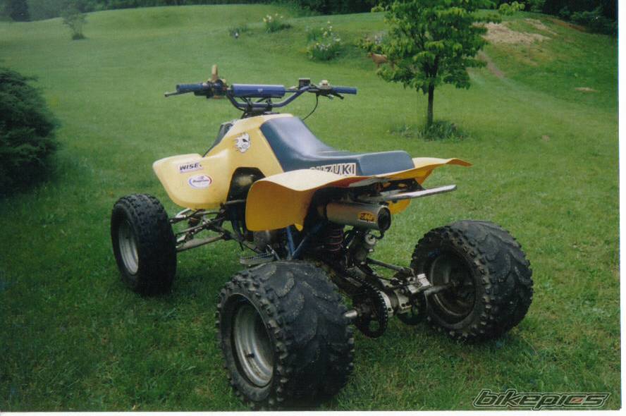 1985 SUZUKI QUADRACER 250 | Picture 250686 motorcycle photo