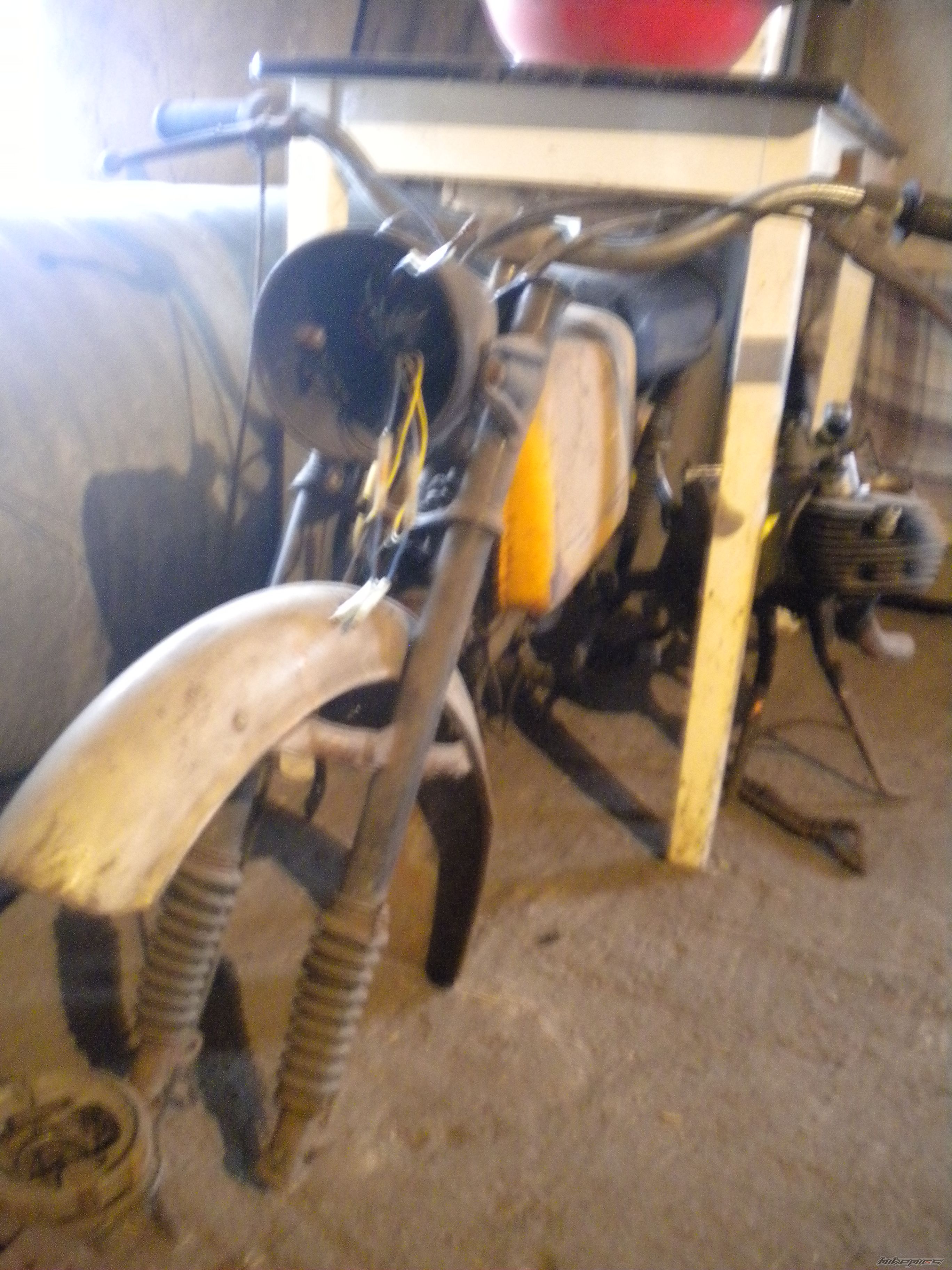 1979 JAWA MUSTANG 50 | Picture 2508352 motorcycle photo
