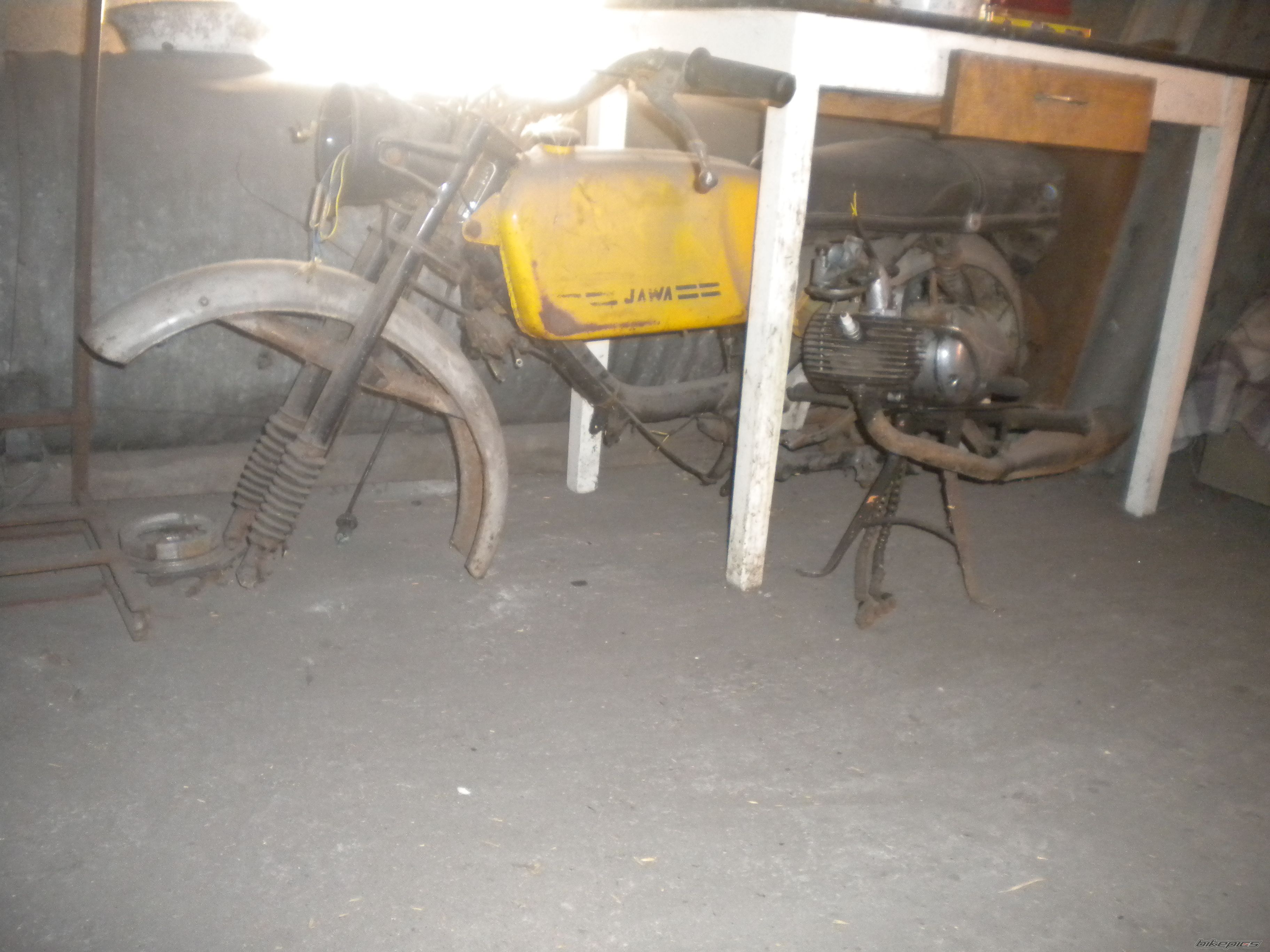 1979 JAWA MUSTANG 50 | Picture 2508390 motorcycle photo