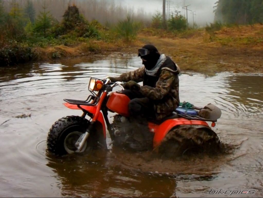 1984 HONDA ATC200ES | Picture 2508970 motorcycle photo