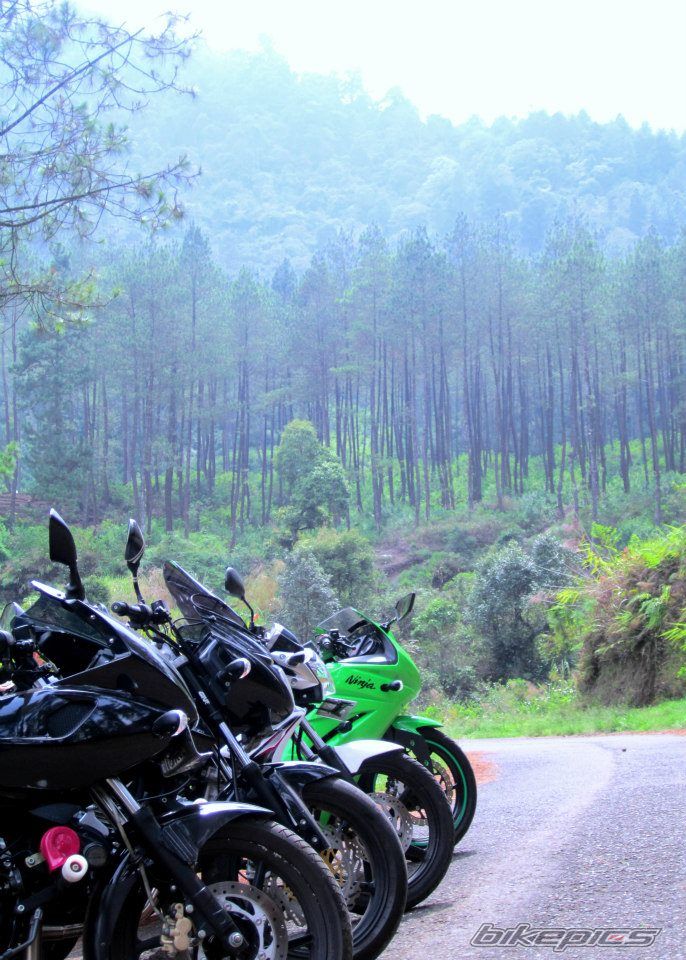 2008 BAJAJ PULSAR 200 | Picture 2509475 motorcycle photo