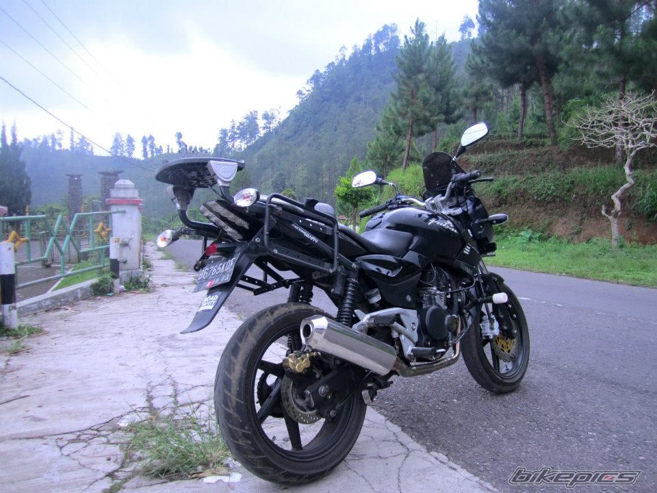 2008 BAJAJ PULSAR 200 | Picture 2509476 motorcycle photo