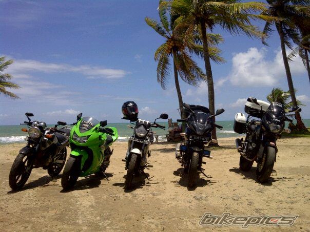 2008 BAJAJ PULSAR 200 | Picture 2509480 motorcycle photo