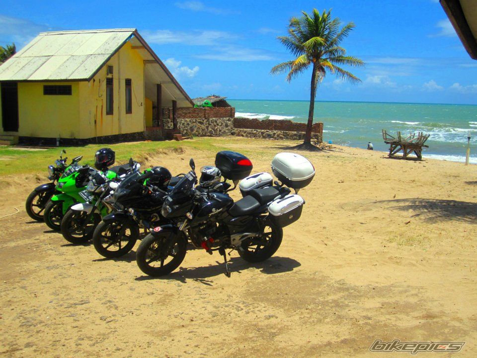 2008 BAJAJ PULSAR 200 | Picture 2509481 motorcycle photo