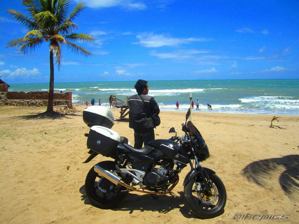 2008 BAJAJ PULSAR 200 | Picture 2509482 motorcycle photo