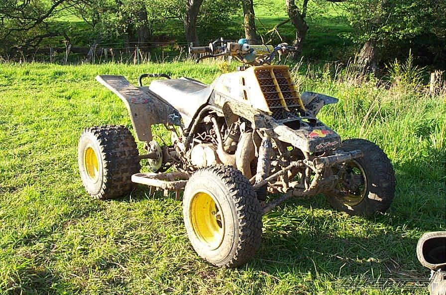 1998 YAMAHA BANSHEE | Picture 250964 motorcycle photo