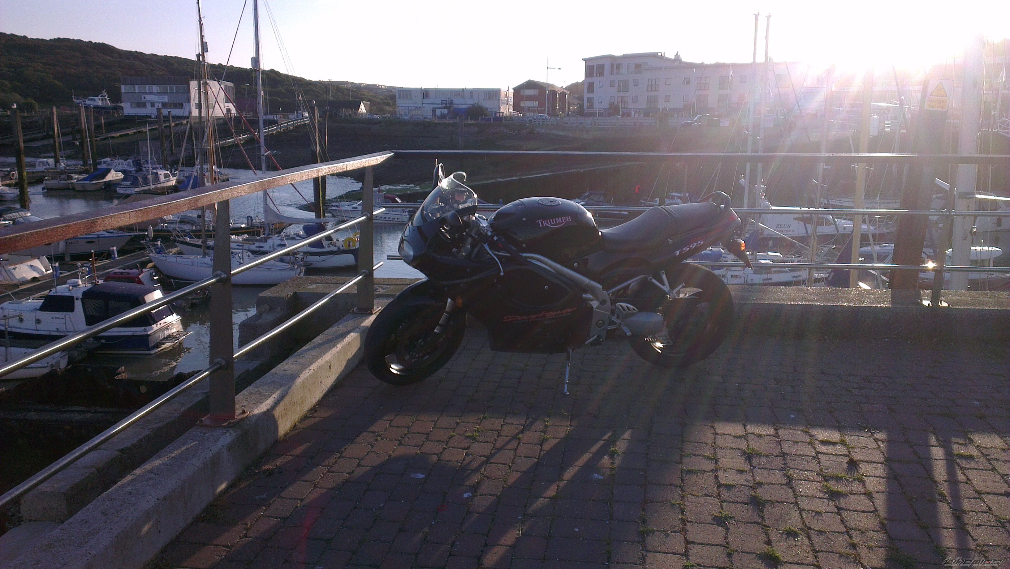 1997 TRIUMPH DAYTONA T595 | Picture 2509693 motorcycle photo