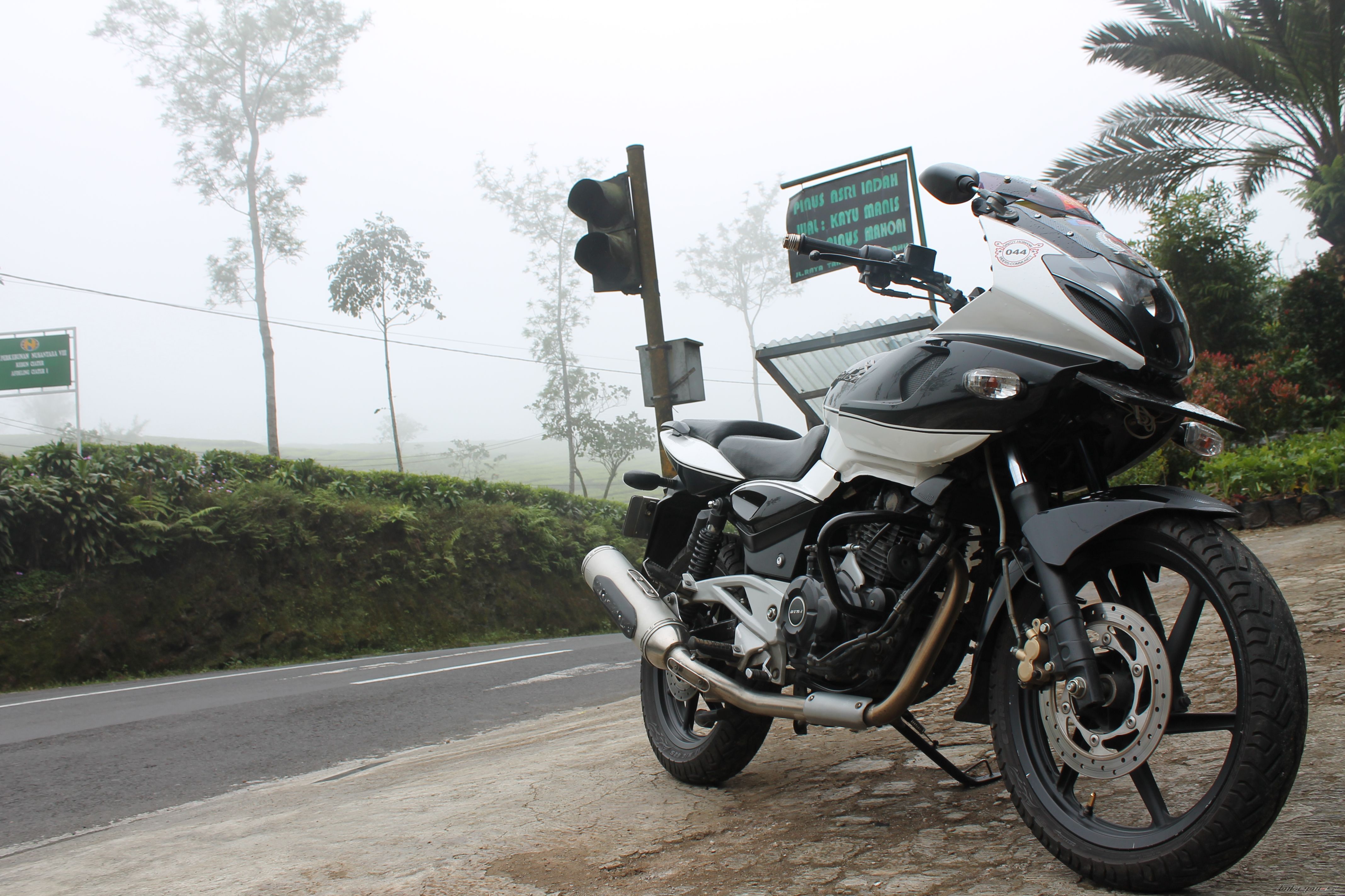 2011 BAJAJ PULSAR 220F | Picture 2511355 motorcycle photo
