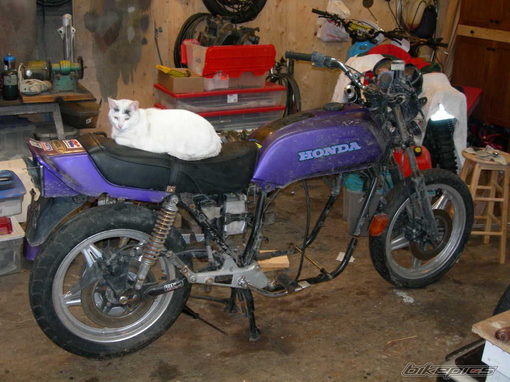 1979 HONDA CB 750 | Picture 2512507 motorcycle photo