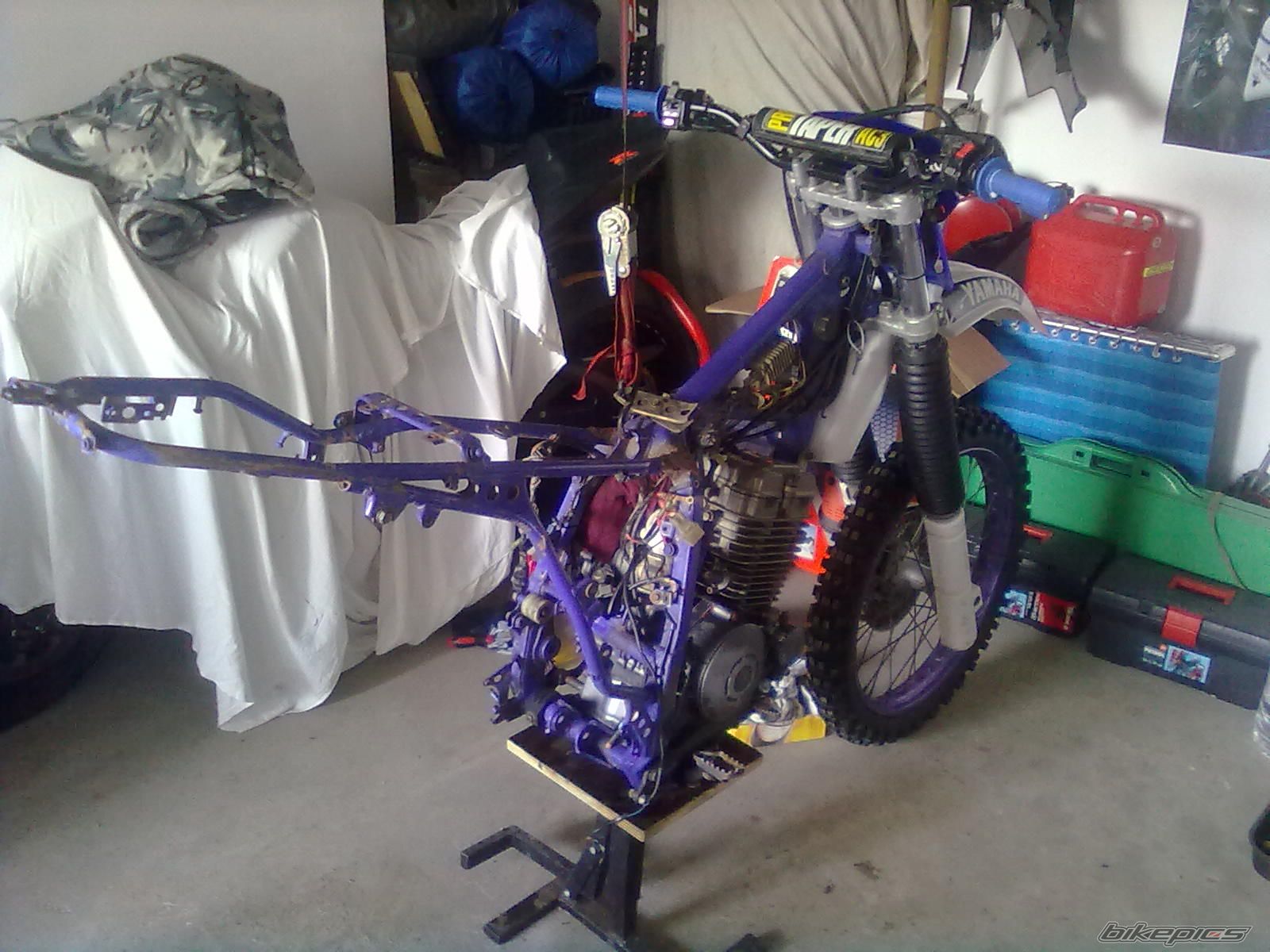 1993 YAMAHA TTR 250 | Picture 2512847 motorcycle photo