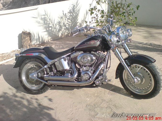 2007 HARLEY DAVIDSON FLSTF | Picture 2513344 motorcycle photo
