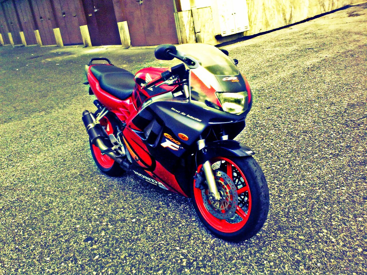 1995 HONDA CBR 600 | Picture 2514705 motorcycle photo