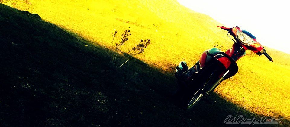2012 YAMAHA CRYPTON R 115 | Picture 2515049 motorcycle photo