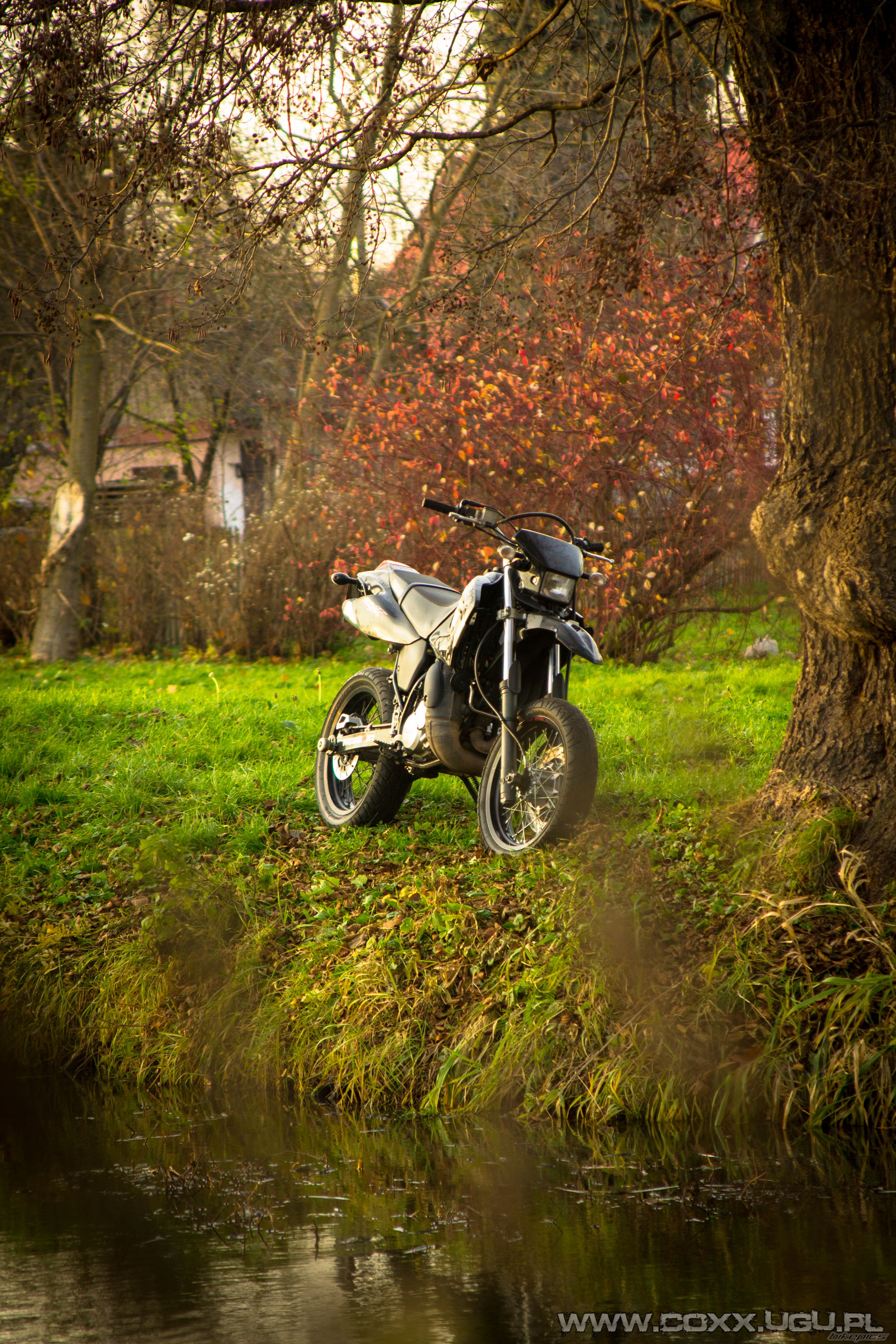 2005 YAMAHA DT 125X | Picture 2515303 motorcycle photo