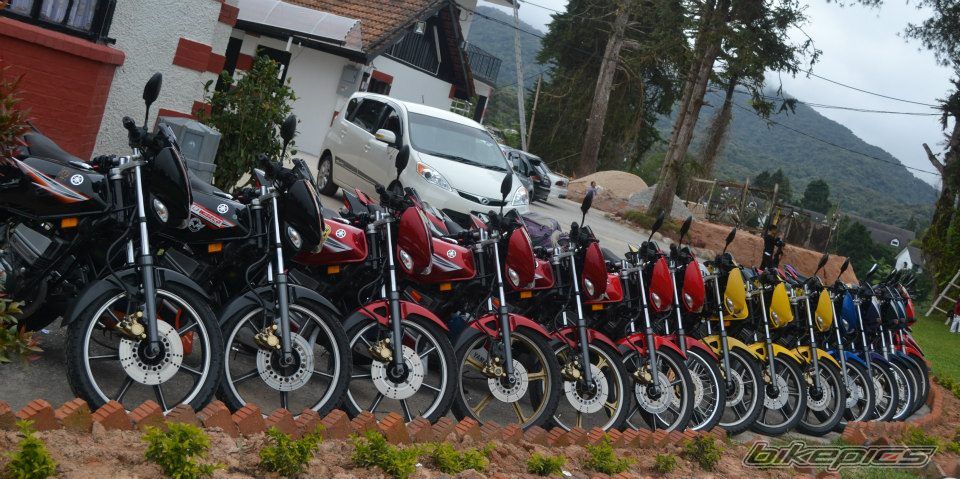 2013 YAMAHA RXZ 135 | Picture 2516364 motorcycle photo