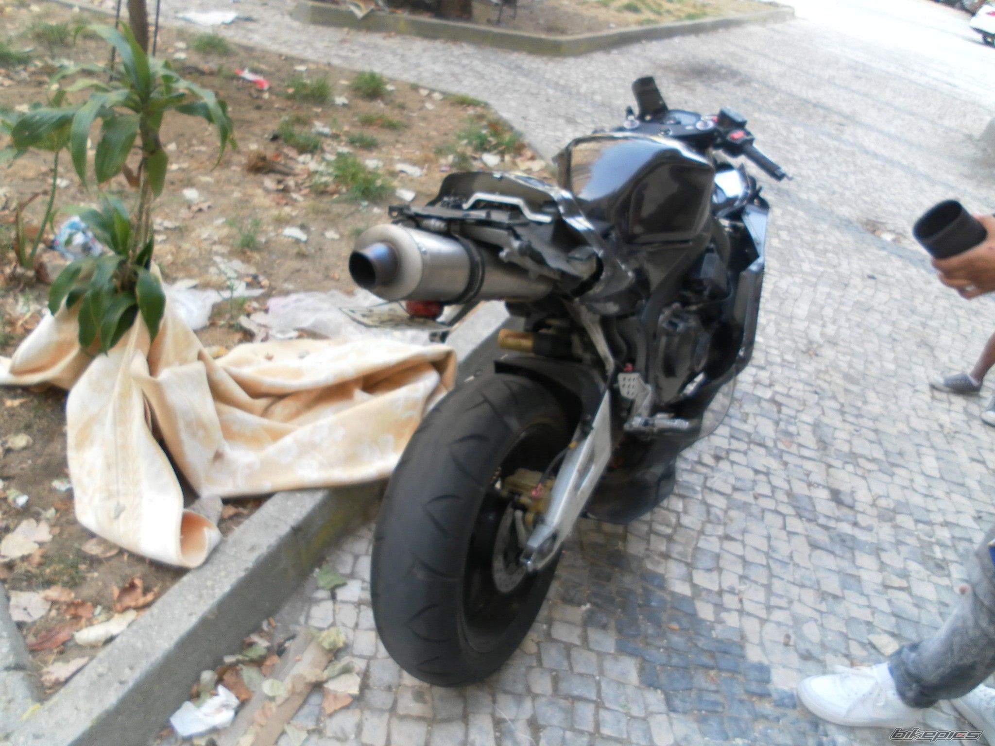 2004 HONDA CBR 600 RR | Picture 2516679 motorcycle photo