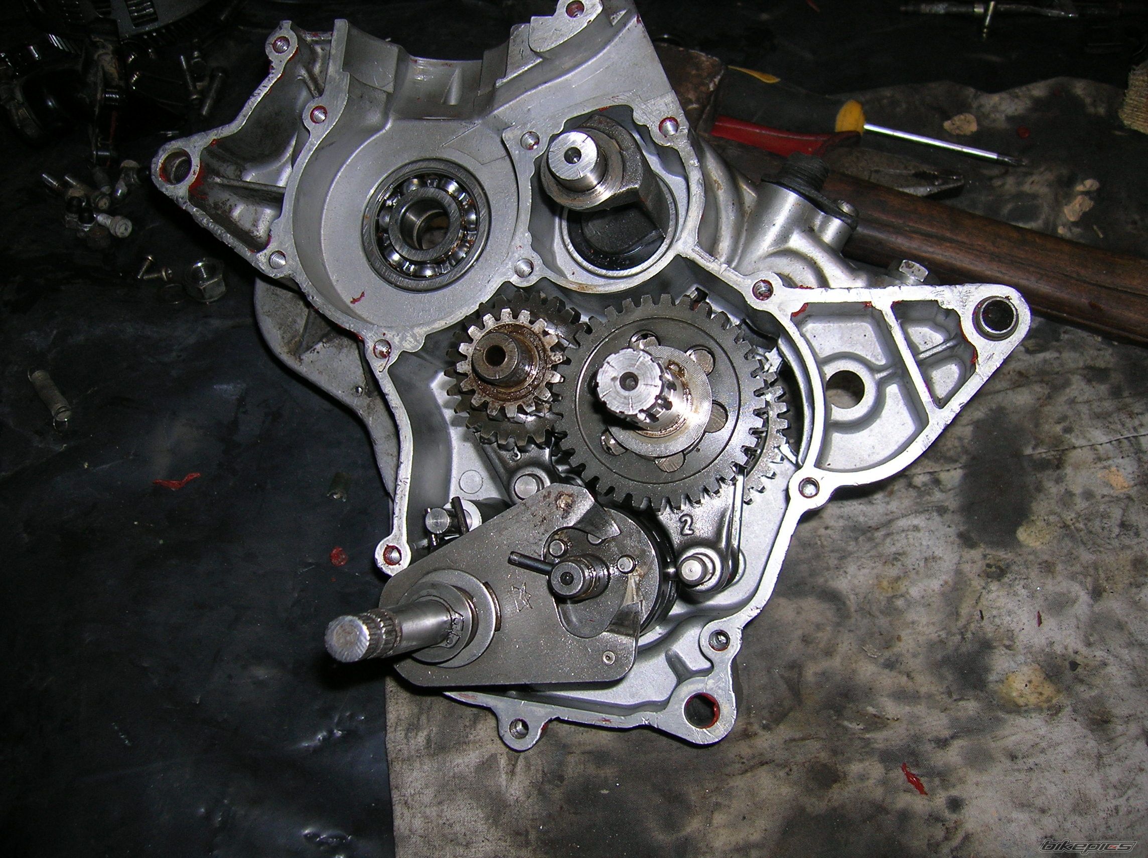    | Picture 2517218 motorcycle photo