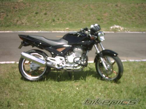 2003 HONDA CBX 250 | Picture 251778 motorcycle photo