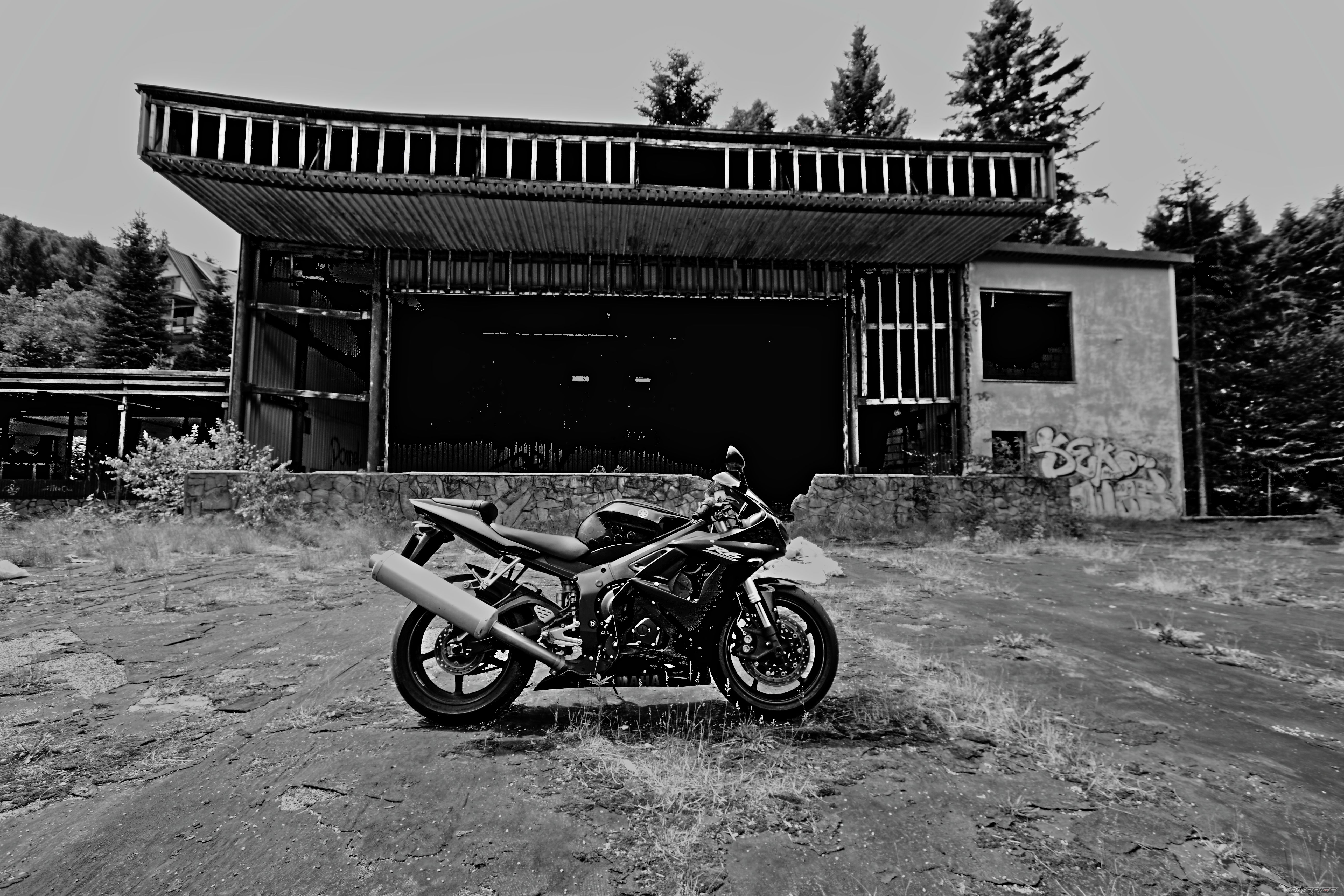 2005 YAMAHA YZF R6 | Picture 2518186 motorcycle photo