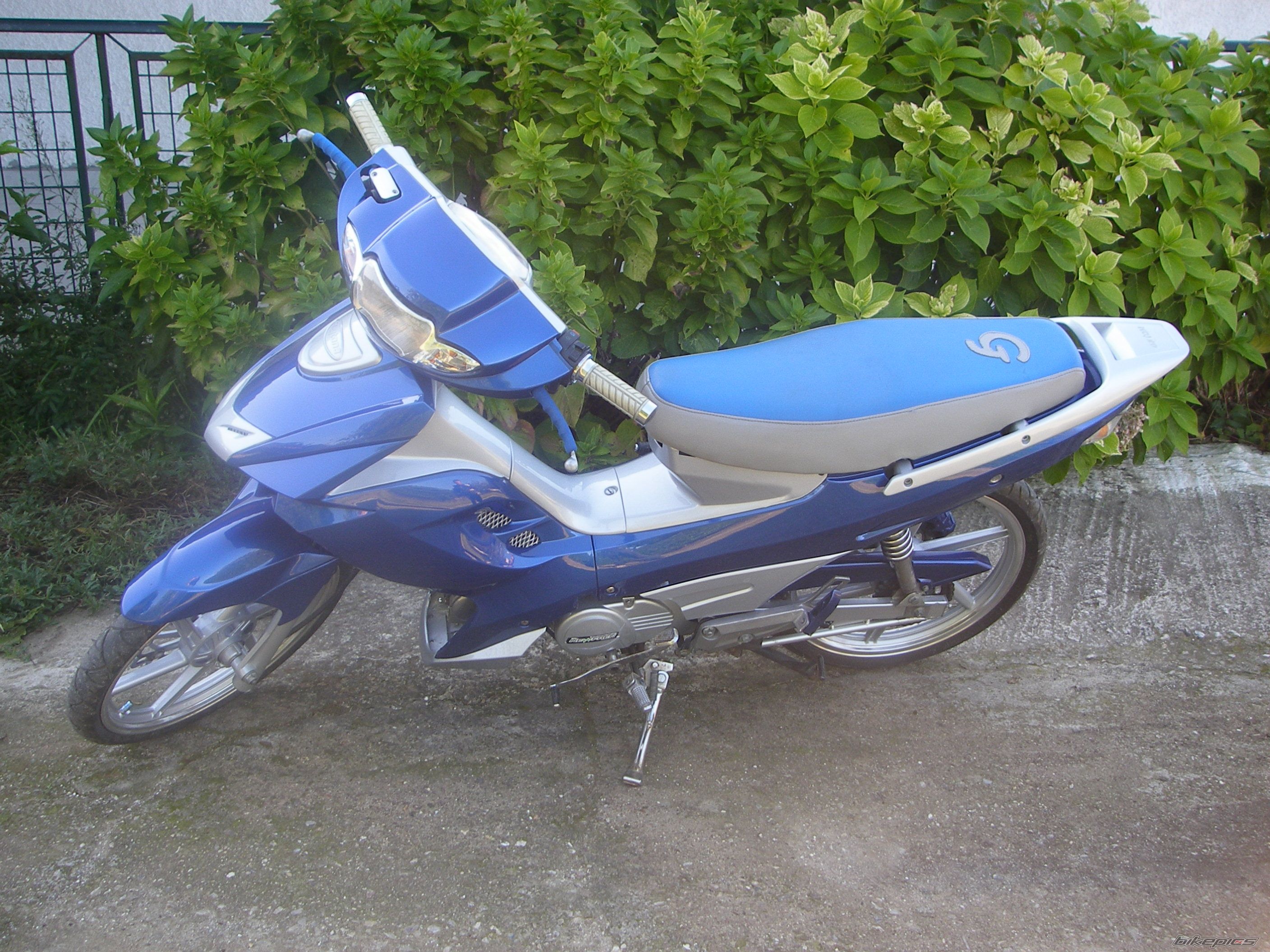 2013 DAYTONA SPRINTER | Picture 2519993 motorcycle photo