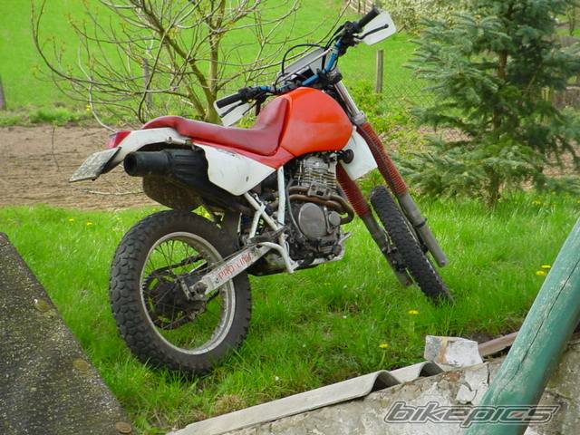 1990 HONDA XR 600 | Picture 25200 motorcycle photo