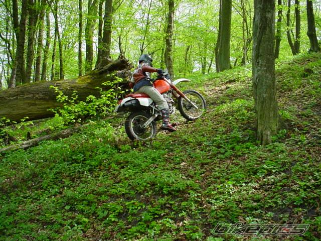1990 HONDA XR 600 | Picture 25209 motorcycle photo