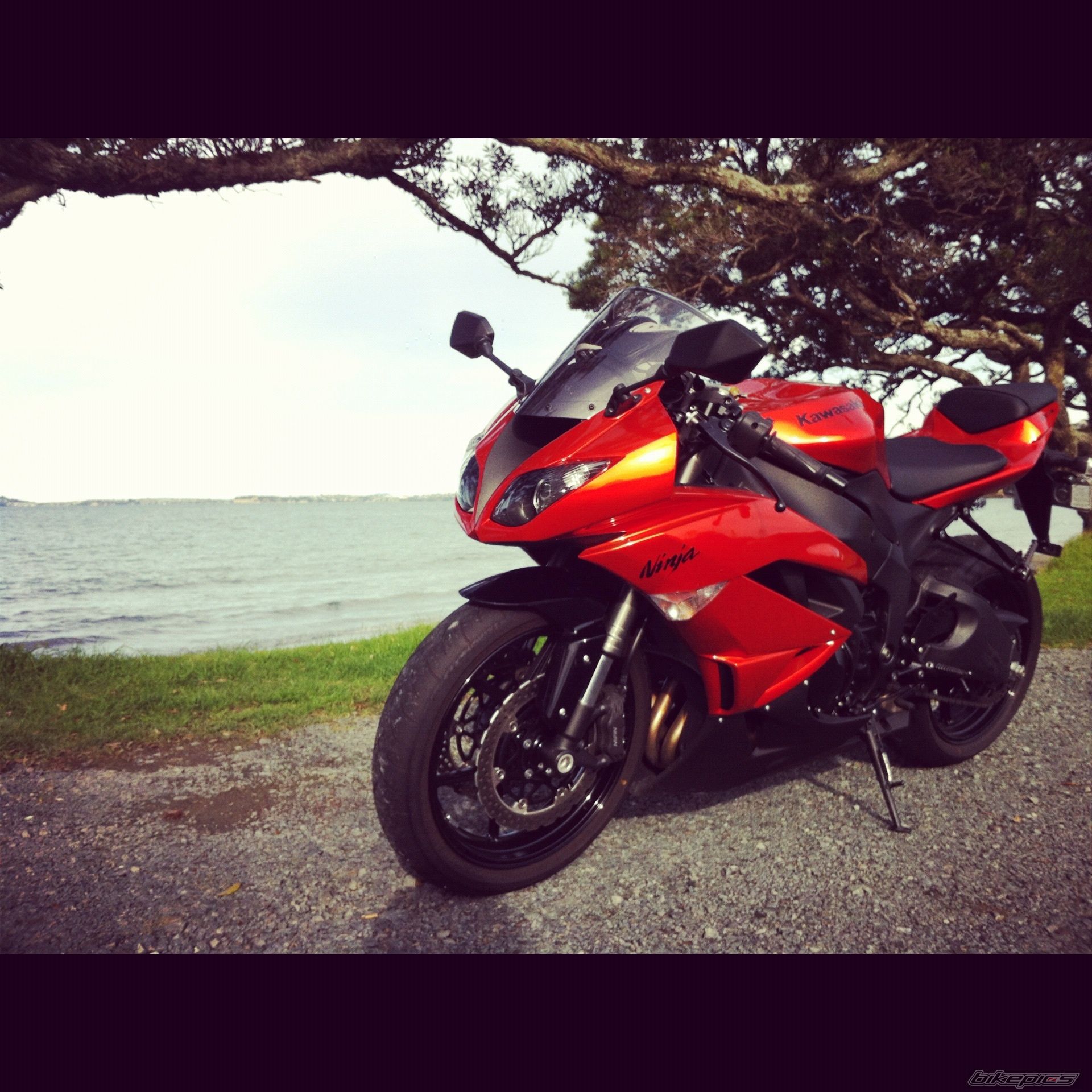 2010 KAWASAKI ZX 6R | Picture 2522072 motorcycle photo