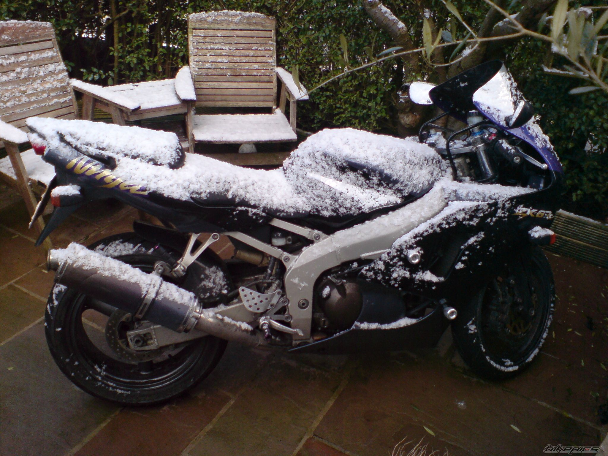 1998 KAWASAKI ZX 6R | Picture 2522105 motorcycle photo
